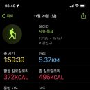 신토불이떡볶이 이미지