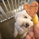 해피멍쓰데이 이미지