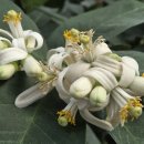 행정사감병기사무소 이미지