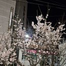 아름다운동행공인중개사사무소 이미지