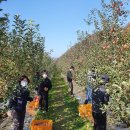 의성군보건소 이미지