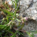 프롭테라피&밴드운동 이미지