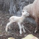 늘솔길근린공원 이미지