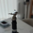 에코레이 | [타히티] 보라보라섬 3탄 : 샤크 앤 레이 에코 스노클링 투어 액티비티 후기