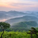 청벽농장 이미지