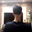 애견깍새 | 전문가용 이발기 추천 파테크 신속정확 절삭력, 강력5단계 애견이발기 남자 투블럭컷 모두가능.