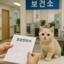 구로-공단-구로-1345 | 인터넷 출력, 유효 기간, 채용건강검진 가능 여부, 외국인 가능 여부(+인천 연수구 보건소, 구로 보건소)