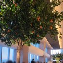 유성하우스 이미지