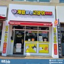 개밥파는고양이우