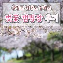 엘림빨래방 | 충청도 전라도 강원도 벚꽃캠핑장 후기 모음