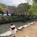 86 | 충남 서산 개심사 겹벚꽃 아이동반 방문 후기