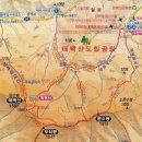 공원앞사거리(보건소주차장) 이미지