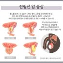 정비뇨의학과의원 이미지