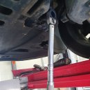 정카센타 이미지