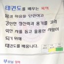 가락태권도 이미지