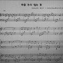 신도DSL 이미지