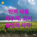 도시농업-스마트팜 전문가 과정 이미지