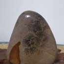 대한민국과 3,1,절 이미지