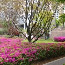 한숲로33번길 이미지