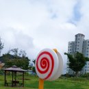 순창읍사무소 이미지