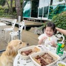 민쿡바베큐 충장로점 | 광주 피크닉 음식 포장 계곡에서 즐긴 민쿡바베큐