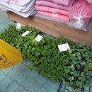 청구농약사 이미지