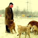 말티즈하우스 이미지