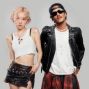 로제 - 제주시 함와로 566-29 | 로제