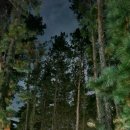 작천정별빛야영장 이미지