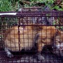 준동물병원 이미지