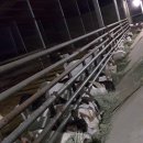 이삭목장 이미지