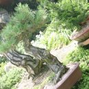 방죽골농장 이미지