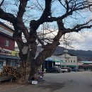 천천작은도서관 이미지