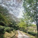 선운산안내소 | 전북 고창 가볼만한곳 100대 명산 선운산 최단코스 초보코스 선운사 주차정보 폴바셋 고창선운사점