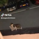 복덩이복권 이미지