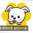 꽃개미용실 | 평택, 강아지, 고양이, 애견미용, 추천!) 꽃개 애견미용 강아지미용 평택 꽃개 애견미용, 맞춤 케어로 인기
