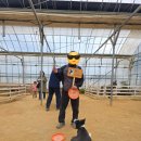 진우농장 | 부천 아이랑 가볼만한 곳, 동물먹이 주기 체험 나눔농장