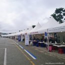 거진공설운동장 | 2025 강원도 가을축제 고성명태축제 가수 노지훈 밴드 카디 보고 온 후기