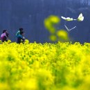 아름다운동행 이미지