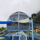 플라워캠핑장 | 평창 캠핑장 추천 자연속 산책로와 놀이터가 있는 꿈의대화 캠핑장