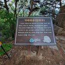 원주굽이길 1코스 가마바우길 이미지