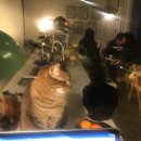백설사 이미지