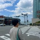 엄마랑 꽉 채운 부산여행 2일차 (엑스더스카이, 스카이캡슐, 해리단길, 부들파이터, KTX 특실 후기)