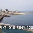 모텔레몬트리 이미지