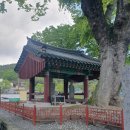 함안 대산리 석조삼존상 | 큰 절 있었다는 대사(大寺)골 - 함안 대산리 석조삼존상