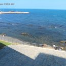 더헤이든 이미지