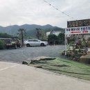 거제매미식당