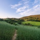 유곡테니스장 이미지