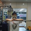 남부순환로394길(학문길) | 사랑은 봄비처럼 내 맘을 적시고(밀린 일상 모음)