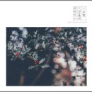 아아 2026년이 밝았습니다. 소원 빌고 가세요!!.gif 이미지